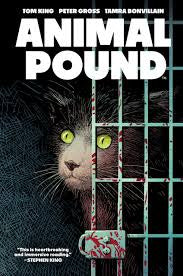 scared brown cat behind bloody prison bars