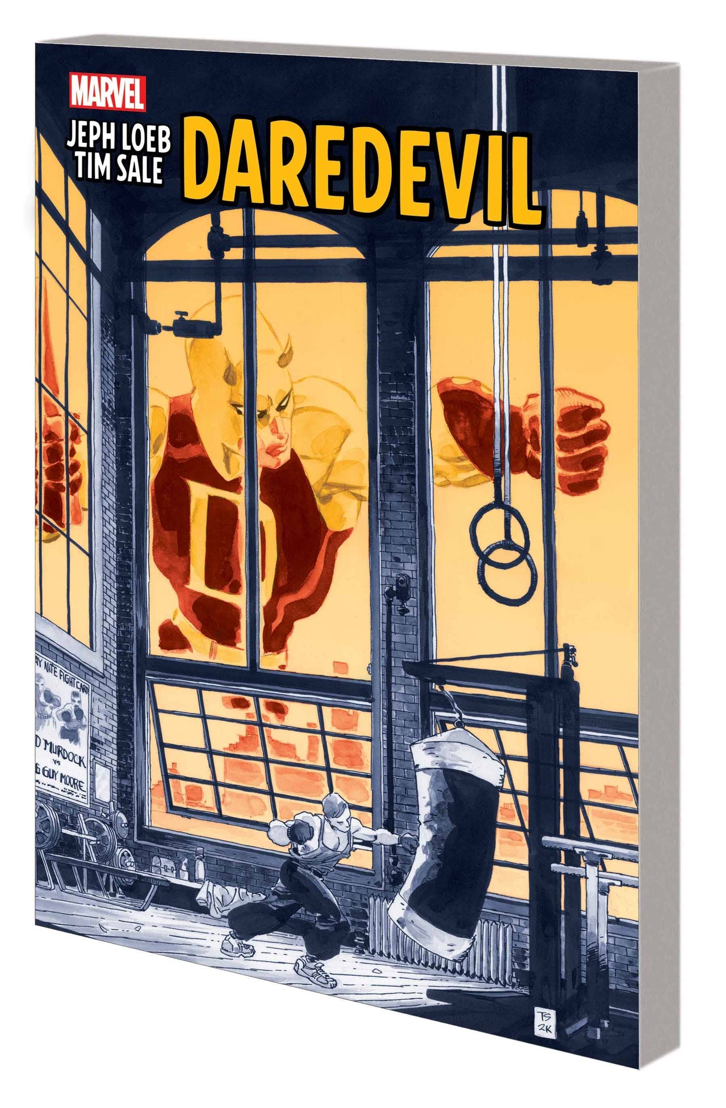 A graphic novel titled 'Daredevil' by Jeph Loeb and Tim Sale, featuring a cover with Daredevil in his costume, perched on a window sill, with a cityscape background.