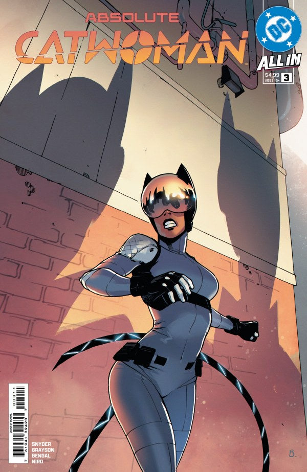 Comic book cover for Absolute Catwoman #3 from DC Comics, featuring Catwoman in a gray and black bodysuit with a striped tail, standing in front of a brick wall under dramatic shadows.