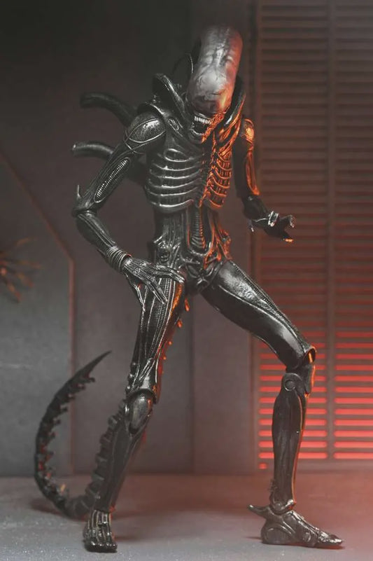 Alien Romulus Xenomorph Xx121 Ultimate Af