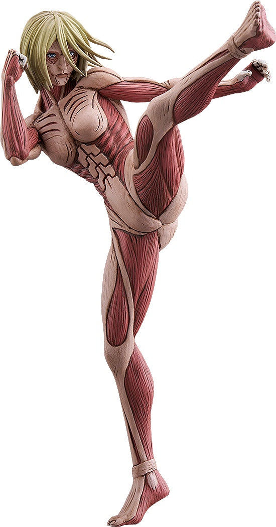 Anatomical model of a human body with muscles highlighted on a white background