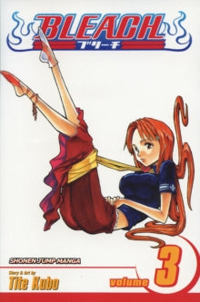Bleach, Vol. 3 : Memories in the Rain Volume 3