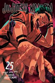 Cover of Jujutsu Kaisen, Vol. 25 featuring illustrated characters in a dynamic pose with a red and purple backdrop.