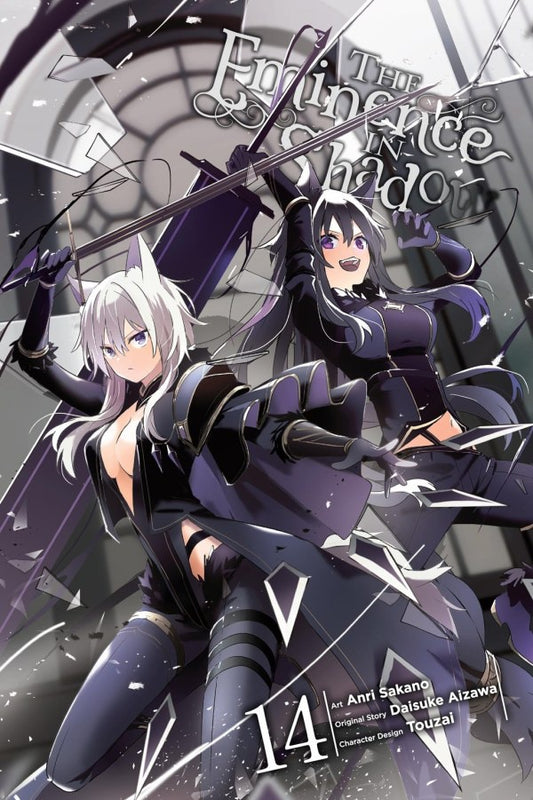 Anime book cover with two characters in dark outfits and a shattered glass effect.
