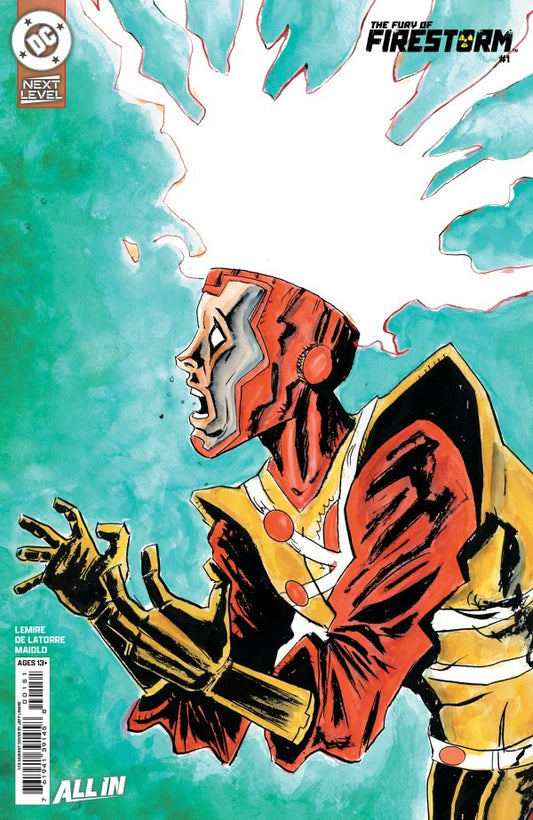 The Fury of Firestorm #1 Cover G 1:25 Jeff Lemire Variant