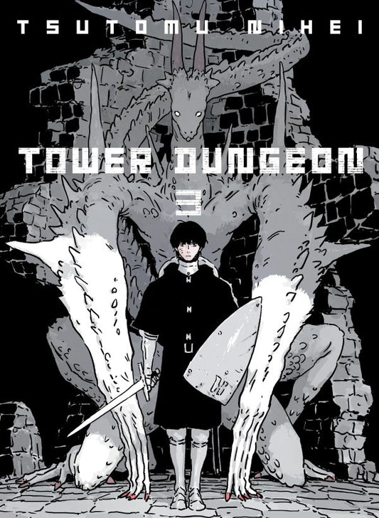 Cover of 'Tower Dungeon' with a character standing in front of a dragon-like creature and stone architecture.