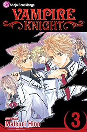 Vampire Knight manga volume 3 cover with characters and title