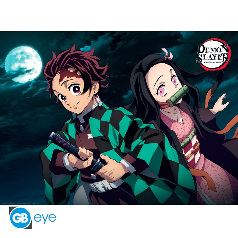 Demon Slayer: Kimetsu no Yaiba - Poster Pack (52x38cm)