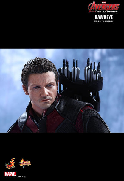 Avengers: Age of Ultron - Hawkeye - 1/6 Scale Collectible Figure