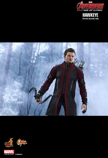 Avengers: Age of Ultron - Hawkeye - 1/6 Scale Collectible Figure