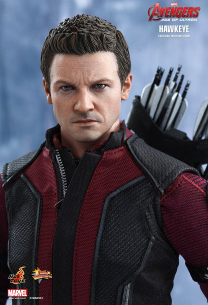 Avengers: Age of Ultron - Hawkeye - 1/6 Scale Collectible Figure