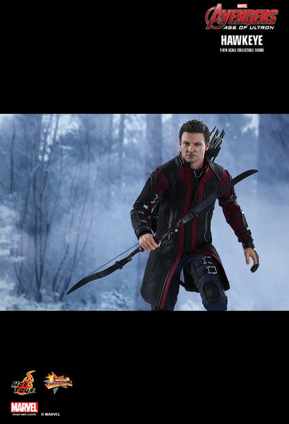 Avengers: Age of Ultron - Hawkeye - 1/6 Scale Collectible Figure