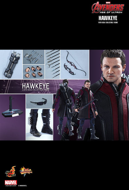 Avengers: Age of Ultron - Hawkeye - 1/6 Scale Collectible Figure