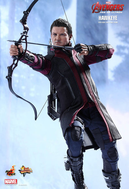 Avengers: Age of Ultron - Hawkeye - 1/6 Scale Collectible Figure