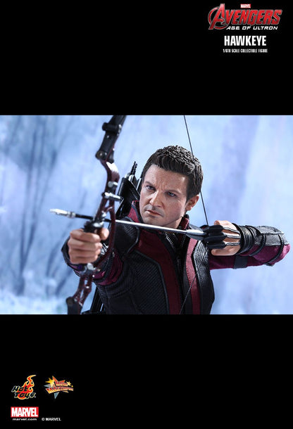 Avengers: Age of Ultron - Hawkeye - 1/6 Scale Collectible Figure