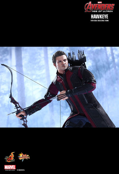 Avengers: Age of Ultron - Hawkeye - 1/6 Scale Collectible Figure