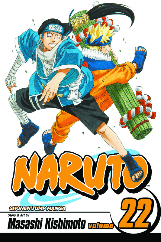 Naruto (Paperback) Vol. 22